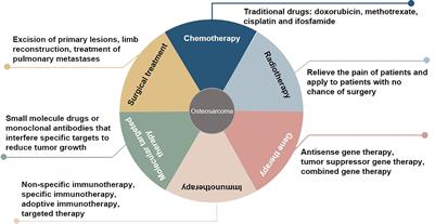 LncRNAs as potential prognosis/diagnosis markers and factors driving drug resistance of osteosarcoma, a review